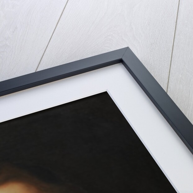 Robert Pinke by Paul van (circle of) Somer