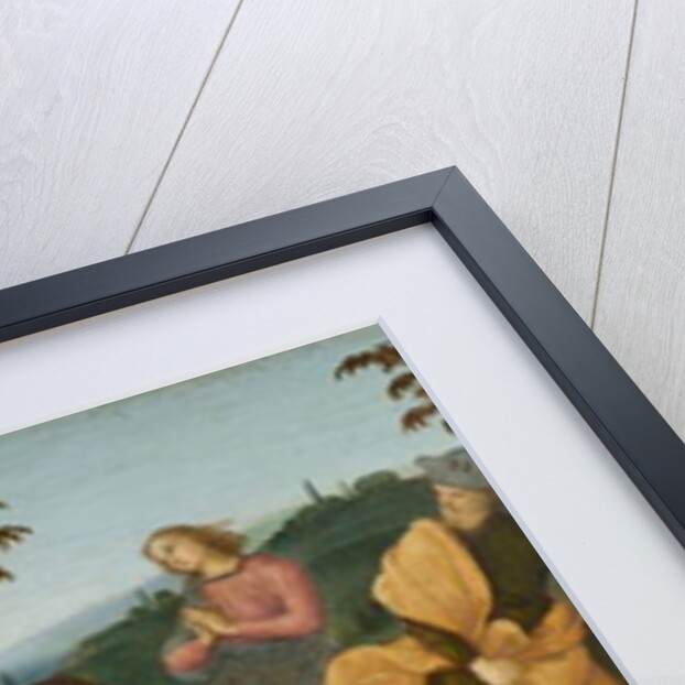 St. Jerome Saving Sylvanus and Punishing the Heretic Sabinianus, 1502-1503 by Raphael