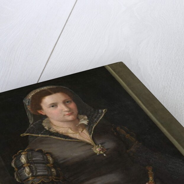 Portrait of Isabella de' Medici, c.1550-1565. by Italian School