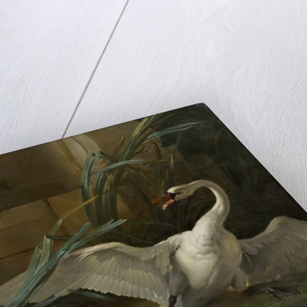Swan Attacked by a Dog, 1745 by Jean-Baptiste Oudry