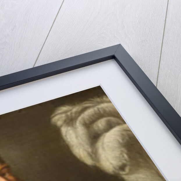 Portrait of a Man in Armour, c.1535-1540 by Paris Bordone