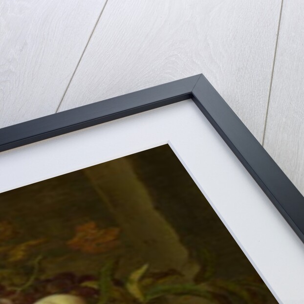 Still Life with Basket of Fruit, 1622 by Balthasar van der Ast