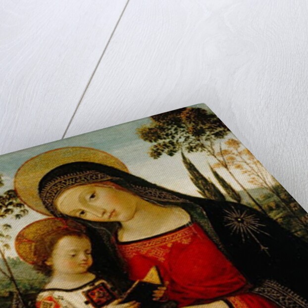 Madonna and Child, c.1490-1495 by Bernardino di Betto Pinturicchio