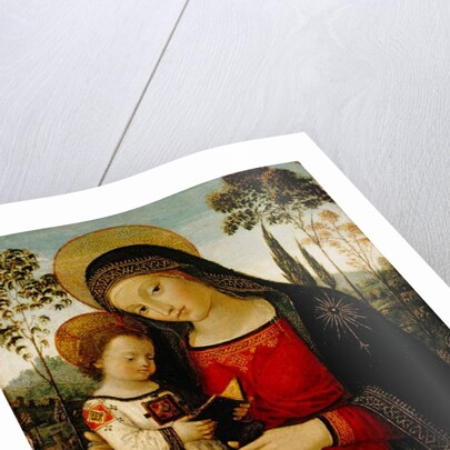 Madonna and Child, c.1490-1495 by Bernardino di Betto Pinturicchio