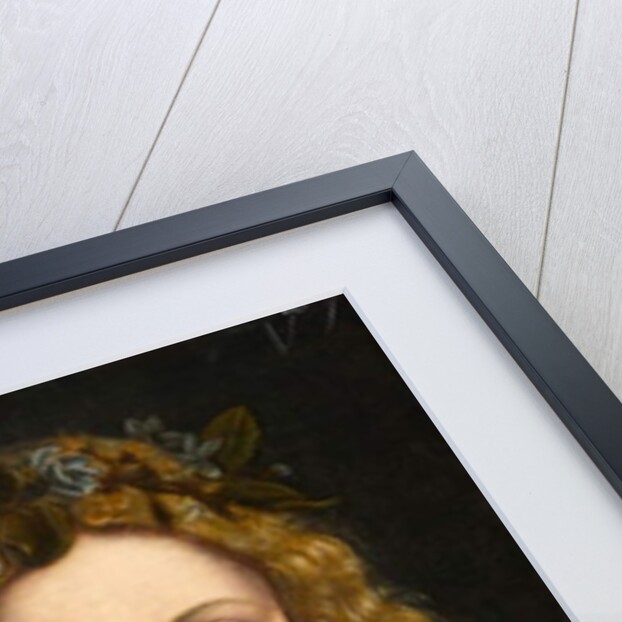 Portrait of a Young Girl Crowned with Flowers, c.1490 by Giovanni Antonio Boltraffio