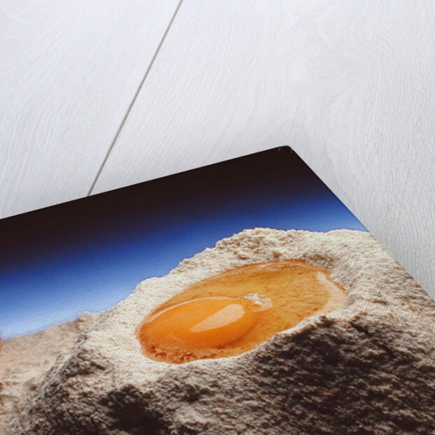 Egg & Flour, 1994 by Norman Hollands