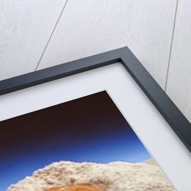 Egg & Flour, 1994 by Norman Hollands