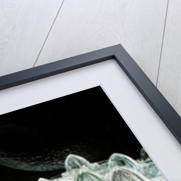 Planet Juicer, 1994 by Norman Hollands