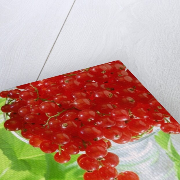 Redcurrants & leaves, 1996 by Norman Hollands