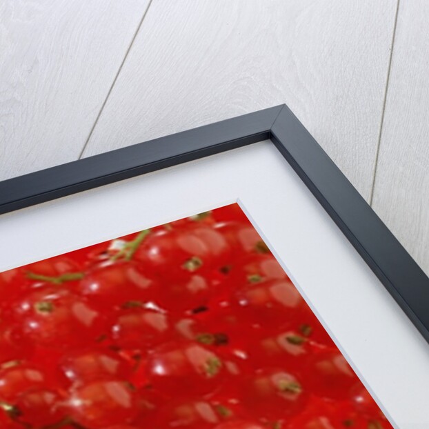 Redcurrants & leaves, 1996 by Norman Hollands