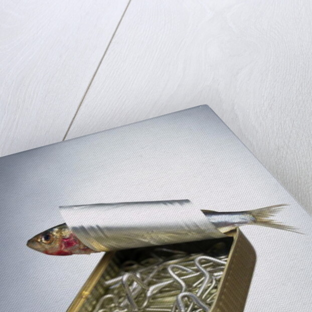 Sardine Can Inversion, 1997 by Norman Hollands