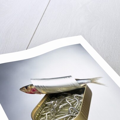 Sardine Can Inversion, 1997 by Norman Hollands