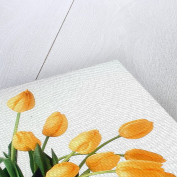 Yellow Tulips II, 1999 by Norman Hollands