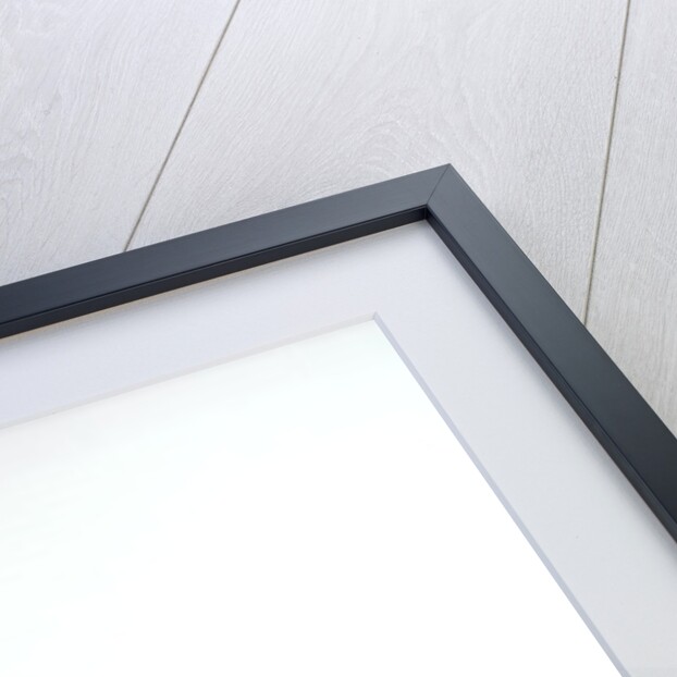 Yellow Tulips II, 1999 by Norman Hollands