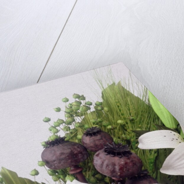 Seed pod Bouquet, 1999 by Norman Hollands