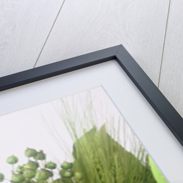 Seed pod Bouquet, 1999 by Norman Hollands