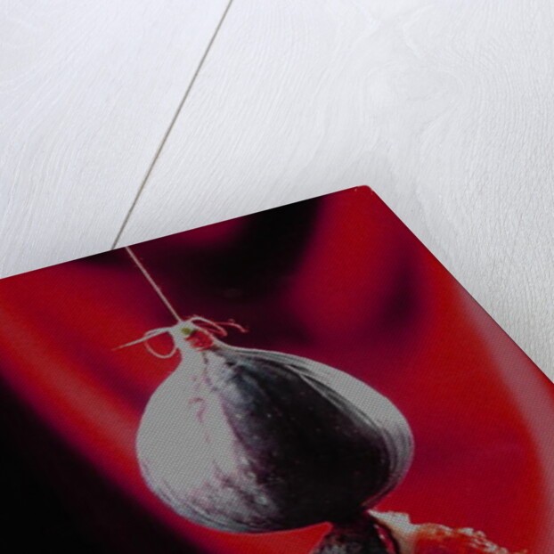 Fig on a string with segments, 2003 by Norman Hollands