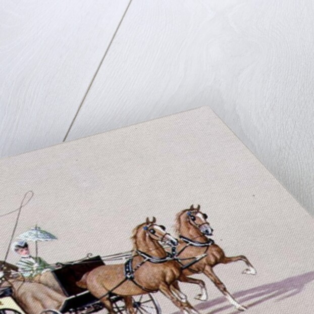 Spider Phaeton, 1972 by Ninetta Butterworth