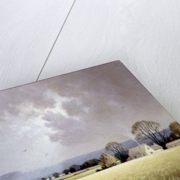 Autumn Sunlight, 1982 by Ninetta Butterworth