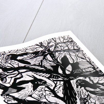 Magpies, 1997 by Nat Morley