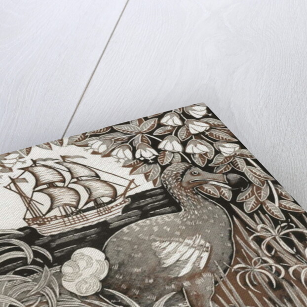 Dodo by Nat Morley
