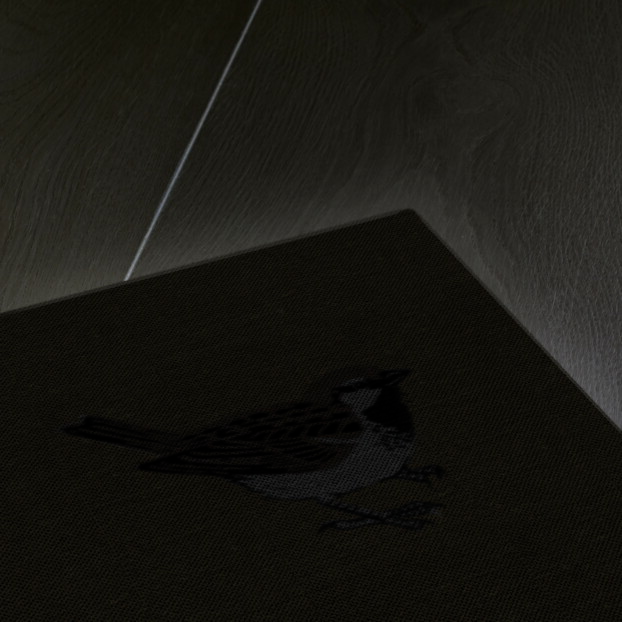 Sparrow, 2013 by Nat Morley