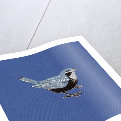 Sparrow, 2013 by Nat Morley
