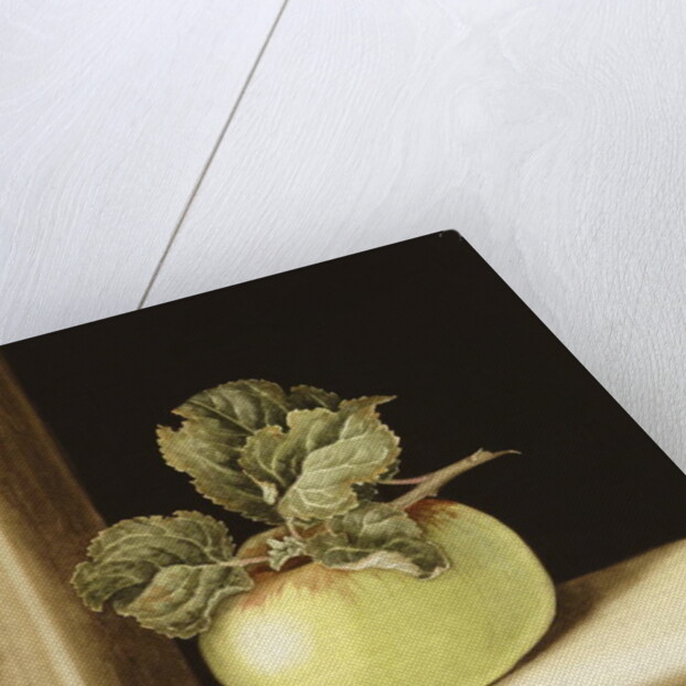 Apple by Jenny Barron