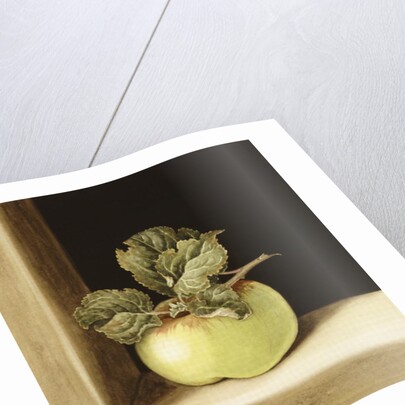 Apple by Jenny Barron