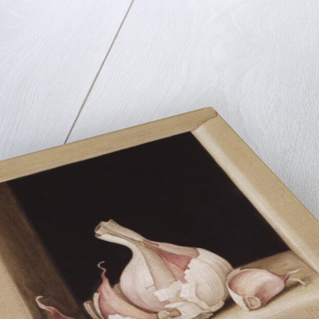 Garlic, 2005 by Jenny Barron