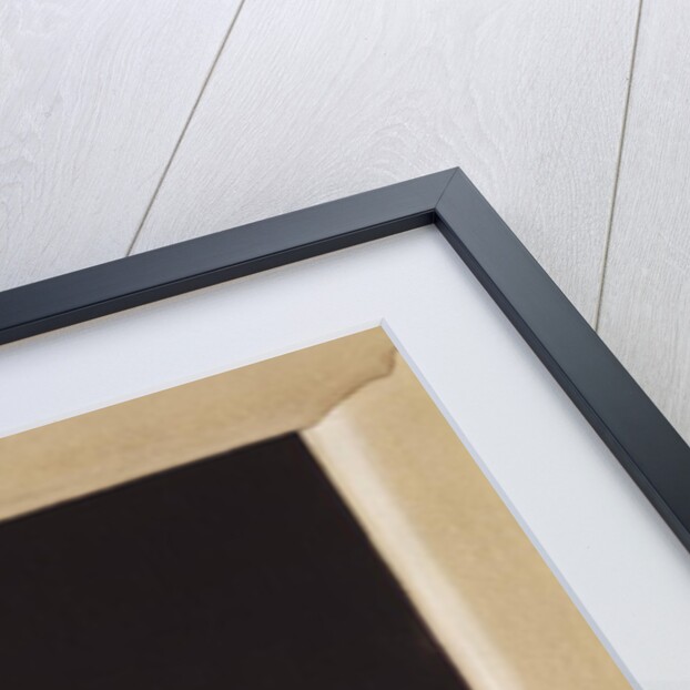 Garlic, 2005 by Jenny Barron