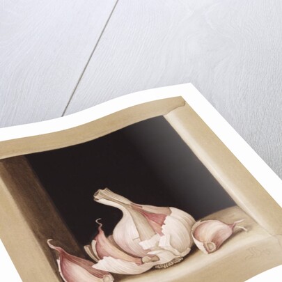 Garlic, 2005 by Jenny Barron
