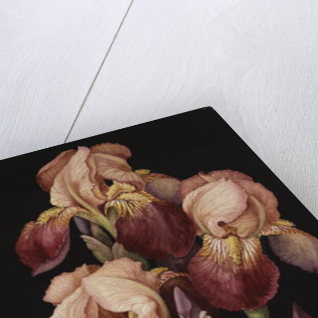 Irises, 2004 by Jenny Barron