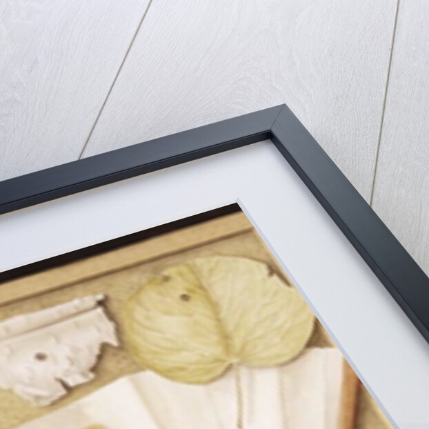 Trompe L'Oeil with Fan, 2005 by Jenny Barron