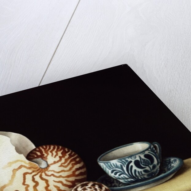 Still life with Nautilus, 1998 by Jenny Barron