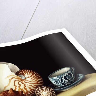 Still life with Nautilus, 1998 by Jenny Barron