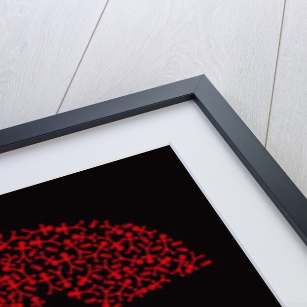 Dollar People Icon, 2006 by Thisisnotme Thisisnotme