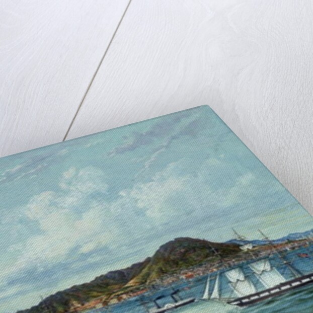 View of Hong Kong, c.1860 by Tinqua