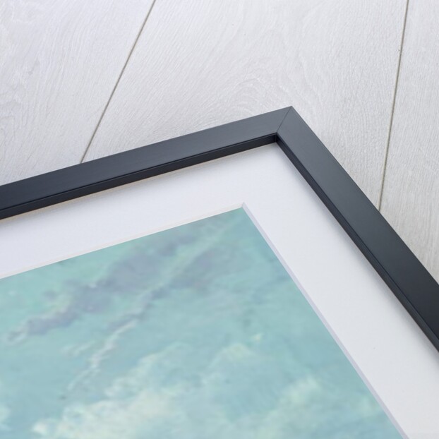 View of Hong Kong, c.1860 by Tinqua