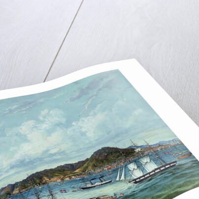 View of Hong Kong, c.1860 by Tinqua