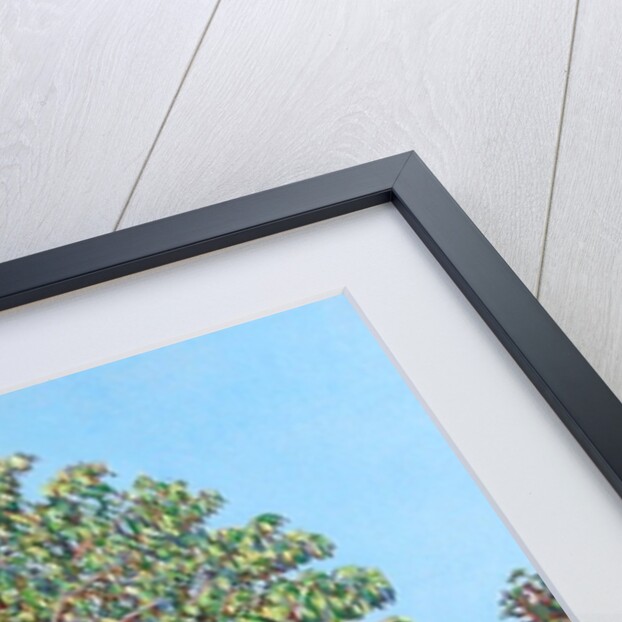 Bow Tree Summer, by Noel Paine