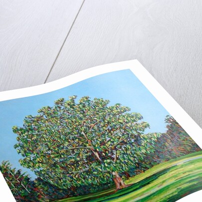 Bow Tree Summer, by Noel Paine