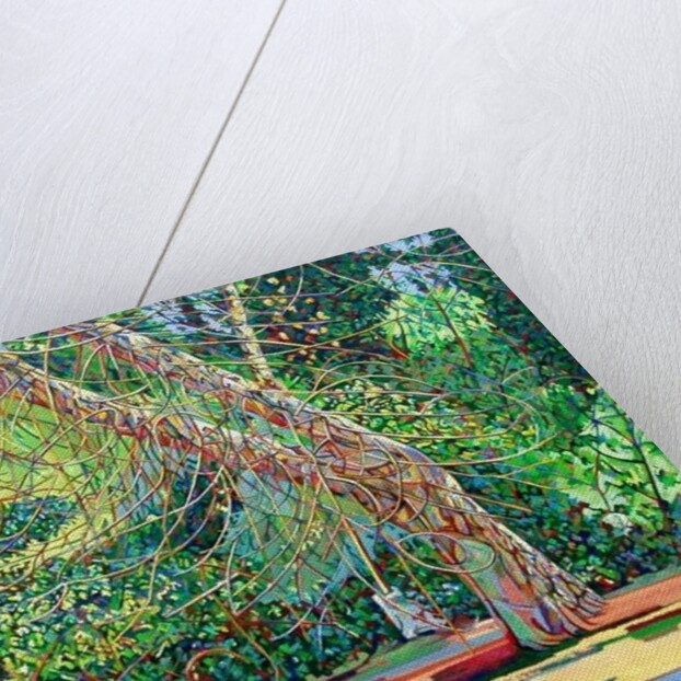 Bow Trench 1 by Noel Paine