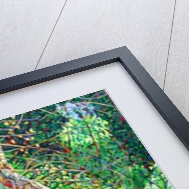 Bow Trench 1 by Noel Paine