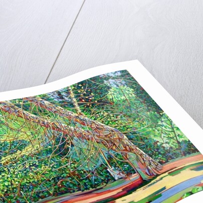 Bow Trench 1 by Noel Paine