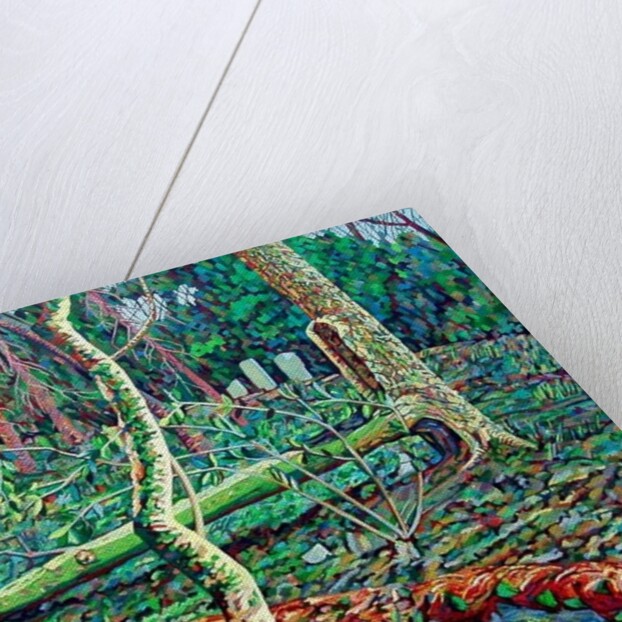 Bow Trench 2 by Noel Paine