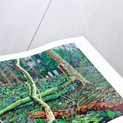 Bow Trench 2 by Noel Paine