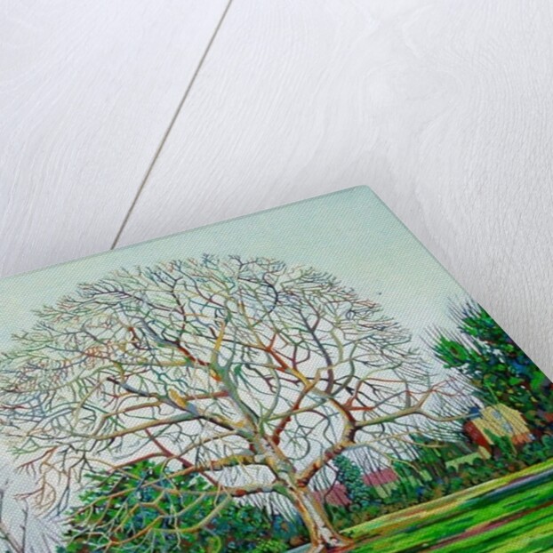 Bow Tree Winter, by Noel Paine