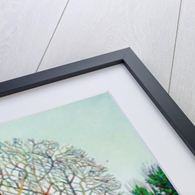 Bow Tree Winter, by Noel Paine