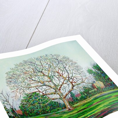 Bow Tree Winter, by Noel Paine